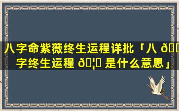 八字命紫薇终生运程详批「八 🐴 字终生运程 🦉 是什么意思」